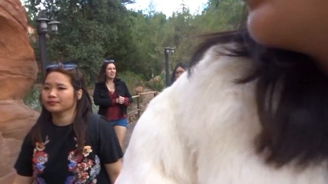 What we got up to in LA - Hollywood, Rodeo, Melrose and NYE in Disneyland! смотреть онлайн