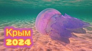 ЧИСТЕЙШЕЕ МОРЕ В КРЫМУ! ПОСЁЛОК МИРНЫЙ! ИЮЛЬ 2024