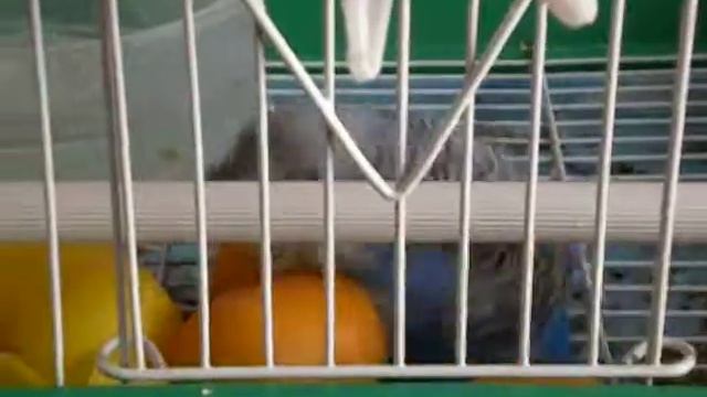 Кеша идиот)))