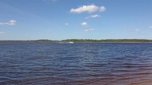 Рыбалка. Шоша. Отдых на Волге. Подлещик. Тверская область. Безбородово. Московское море. Май 2024.