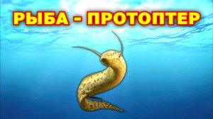 Протоптер. Двоякодышащая рыба. Интересные факты. Подводный мир