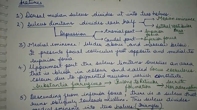 Rhomboid Fossa:- Floor Of The Fourth Ventricle