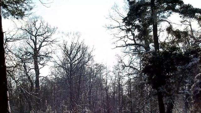 Останній день січня