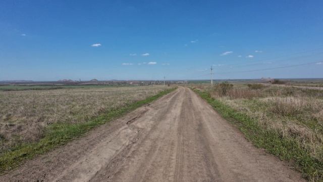 Степной путник