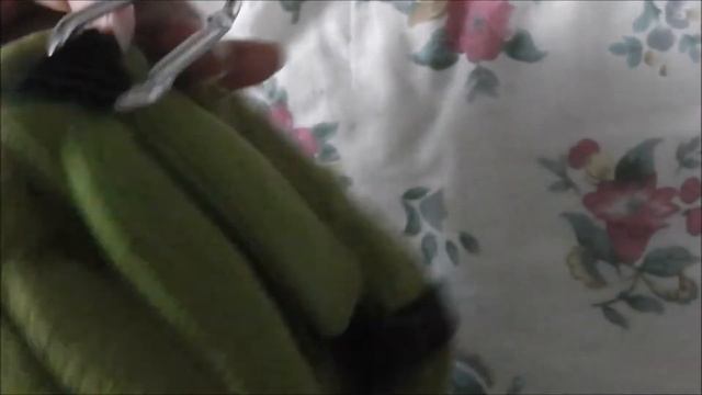 Songs new backpack смотреть онлайн