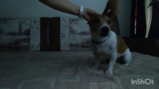Вручение медали🥇 смотреть онлайн