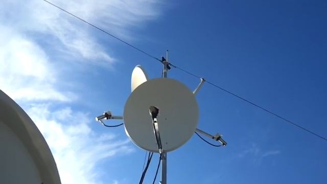 Bird singing on wifi antennas смотреть онлайн