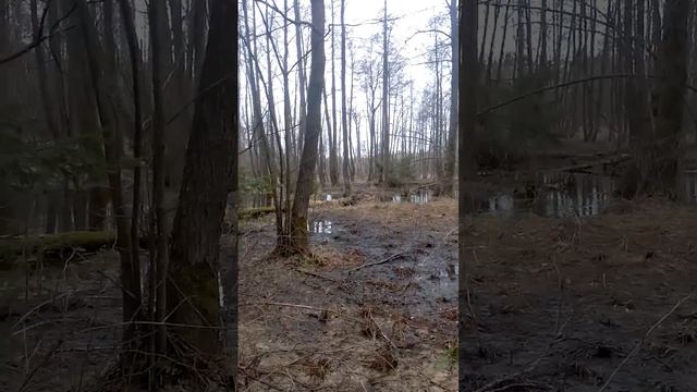 Работа подсадной утки. смотреть онлайн