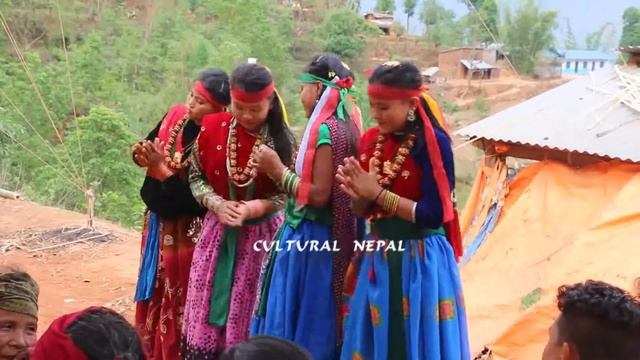 nepali cultural dance #nepali cultural# смотреть онлайн