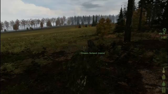 DayZ (За кадром) - Проверка на прочность :) смотреть онлайн
