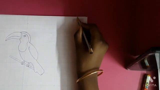 How to Draw a Toucan|| Drawing tutorial|| Part 1|| смотреть онлайн