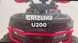Взрослый бензиновый квадроцикл MOTAX GRIZLIK U200 красный камуфляж