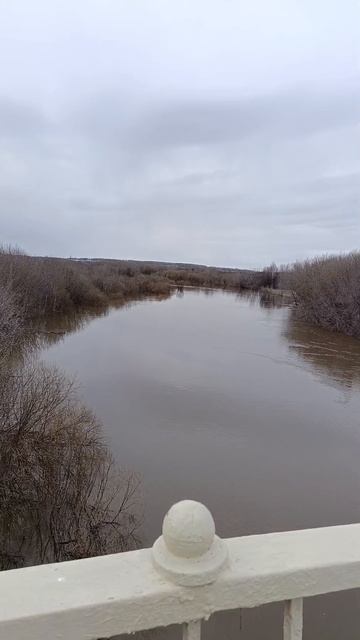 Талица река Пышма 17 апреля 2025год