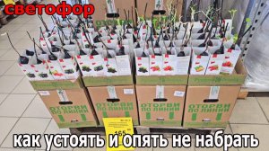 Магазин Светофор ну точно скоро треснет.Опять полный магазин товара.Апрель 2025