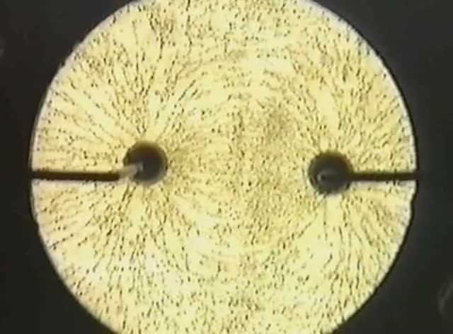 Физика. Опыты. Электричество и магнетизм. Проводник во внешнем поле. Метод зеркальных изображений смотреть онлайн