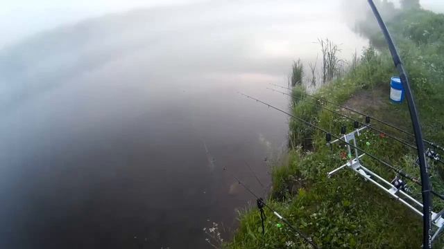 срез поводка с бойлом смотреть онлайн