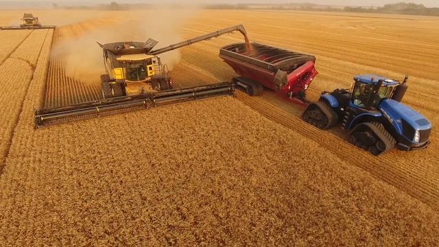 Сельхоз Уборка в Канаде | WHEAT HARVEST IN CANADA Saskatchewan