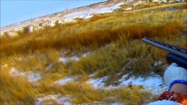 Охота на зайца. Выпуск № 9 18+ смотреть онлайн