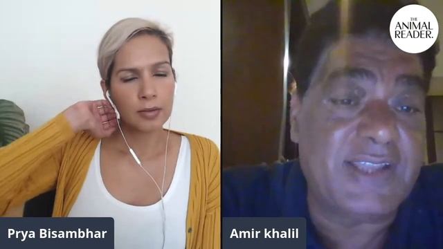 The lonely elephant Kaavan getting ready for new home in Cambodia (INTERVIEW) I Animal News смотреть онлайн