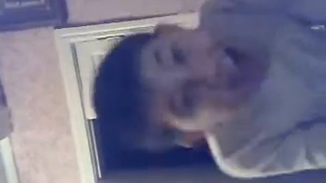 1 Элвин и бурундуки — Сырные шарики