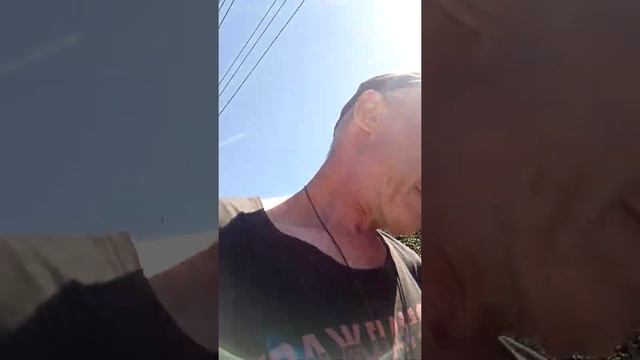 ,,Свиньи в церкви,, смотреть онлайн
