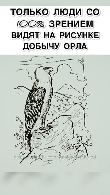 Увидели добычу орла❓ #тестнавнимательность #тестналогику #shorts