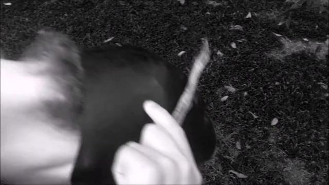 SAVE THE JAVAN RHINO AD 1 смотреть онлайн