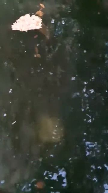 Бросок камня в воду в замедленной съёмке# смотреть онлайн