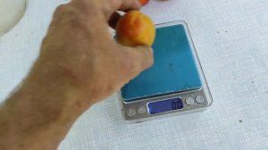 Абрикос Спринг Блаш /Spring Blush/.Сигналки