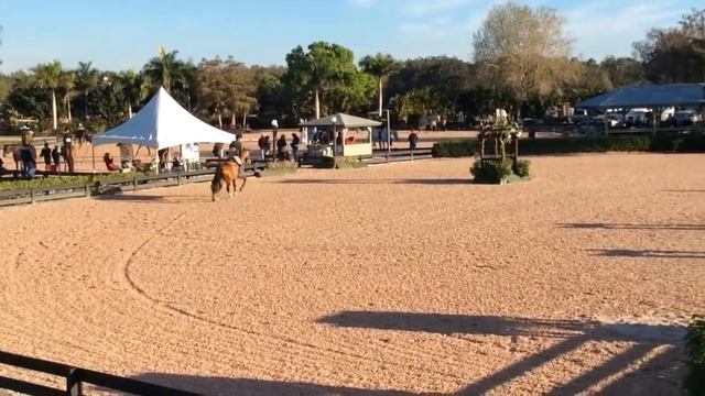 Attila Julie Coles Adult EQ смотреть онлайн