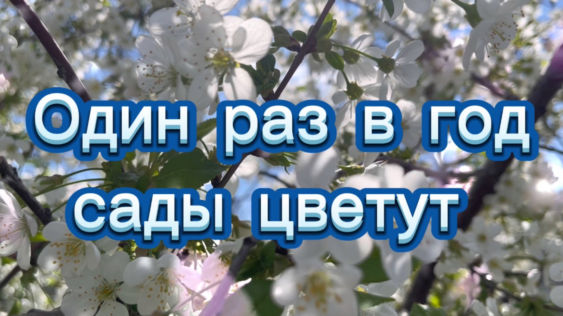 Один раз в год сады цветут, песни о весне