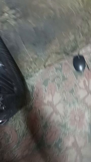 Скайвей 650. Замена сетки сидения😂🤘🛵Сетка 6XL ч2