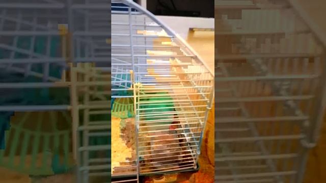 Stasvolkov1906@gmail.com