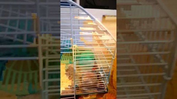 Stasvolkov1906@gmail.com