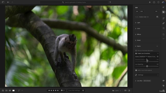 11-12 - Хроматическая аберрация оптики + устранение дисторсии объектива в Lightroom CC смотреть онлайн