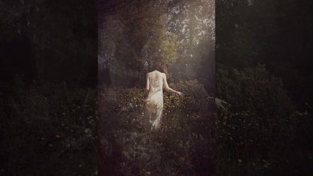 Agnes Obel - September Song