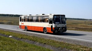 Автобус Икарус-250.95 (Ikarus 250.95)(Х 221 ТТ 22)