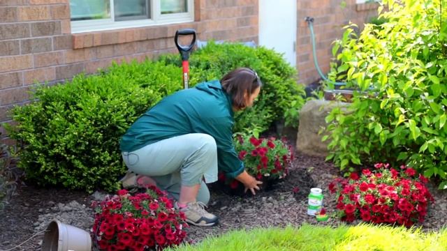 PETITTI How To Plant Hanging Baskets смотреть онлайн