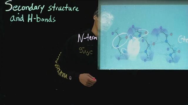 Topic 5.4 - H-bonding in an alpha helix смотреть онлайн