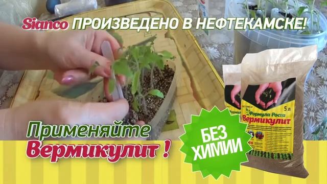РА "ТАЙГА МЕДИА"_SIANCO (Вермикулит аграрный) смотреть онлайн