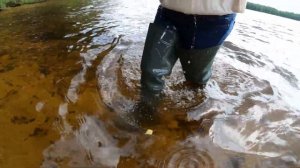 Wet waders, wet jeans, wet leggings, wet short jacket in deep water