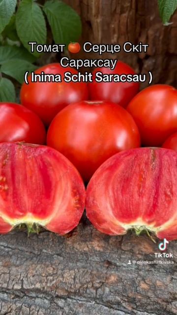 Томат 🍅 Серце Скіт Сараксау смотреть онлайн
