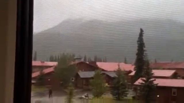 Rainy Day in Denali AK смотреть онлайн