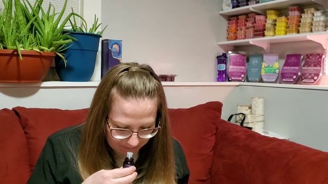 Large Scentsy Haul! смотреть онлайн