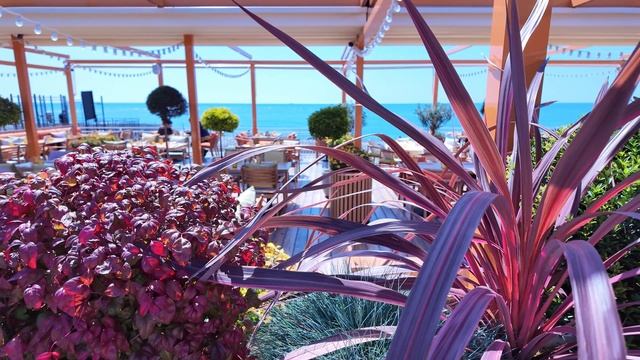 Просто про Сочи