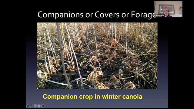 Soil Health as the Foundation of Wellness: Dr. Jill Clapperton (3/3) смотреть онлайн