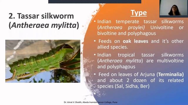 Introduction to Sericulture and Varieties of Silkmoth смотреть онлайн