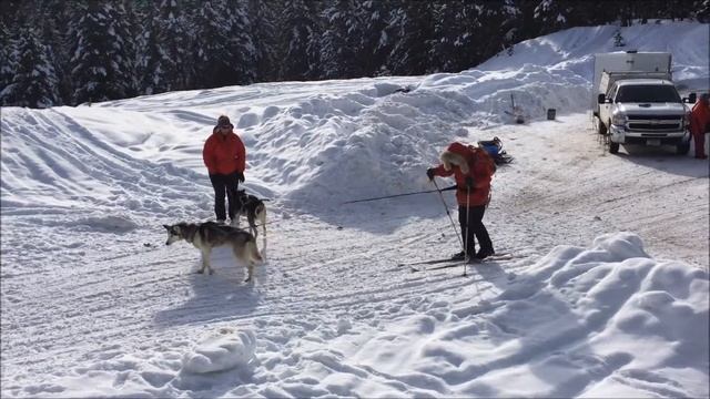 Mushers and Skijorers at Seeley Lake смотреть онлайн