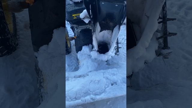 Реальный отзыв владельца Champion ST556