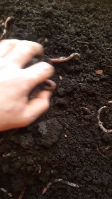 8 января 2023 г.